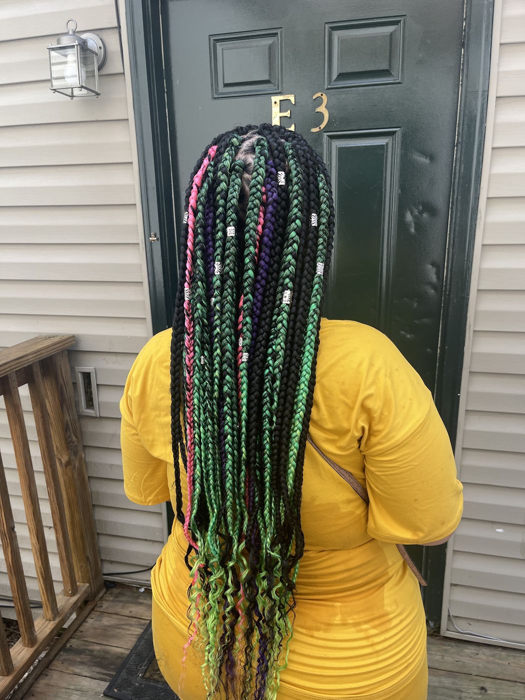 Green and purple braids from behind